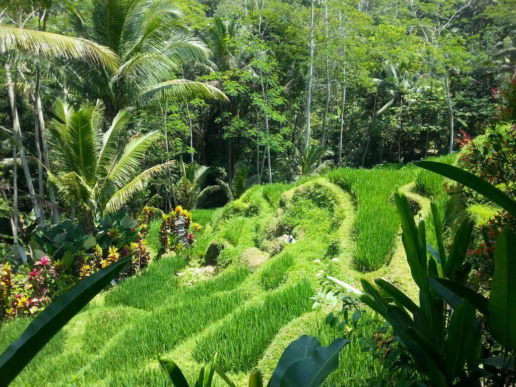 Villa Amrita Ubud Extérieur photo