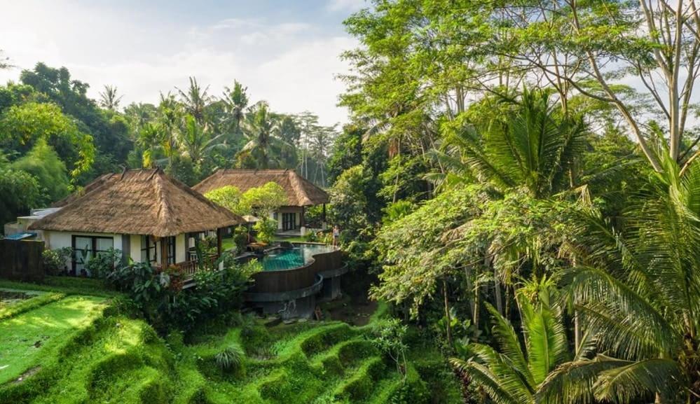 Villa Amrita Ubud Extérieur photo